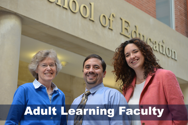 Adult learning faculty